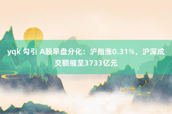yqk 勾引 A股早盘分化:沪指涨0.31%,沪深成交额缩至3733亿元