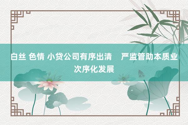 白丝 色情 小贷公司有序出清    严监管助本质业次序化发展