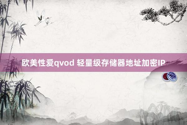 欧美性爱qvod 轻量级存储器地址加密IP