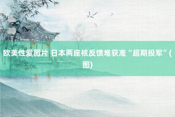 欧美性爱图片 日本两座核反馈堆获准“超期投军”(图)
