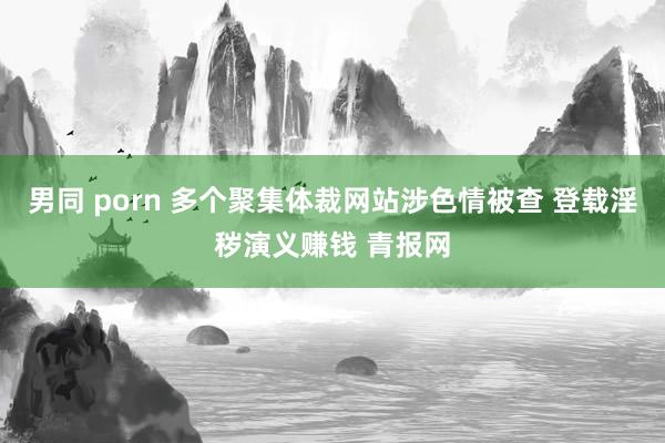 男同 porn 多个聚集体裁网站涉色情被查 登载淫秽演义赚钱 青报网