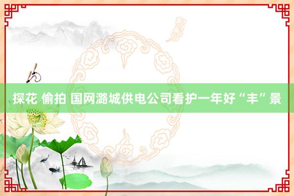 探花 偷拍 国网潞城供电公司看护一年好“丰”景