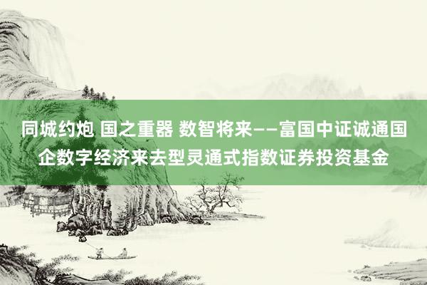 同城约炮 国之重器 数智将来——富国中证诚通国企数字经济来去型灵通式指数证券投资基金