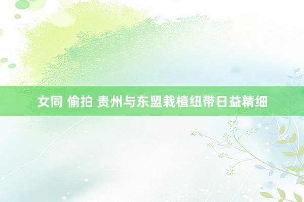 女同 偷拍 贵州与东盟栽植纽带日益精细