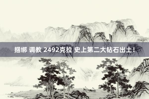 捆绑 调教 2492克拉 史上第二大钻石出土！