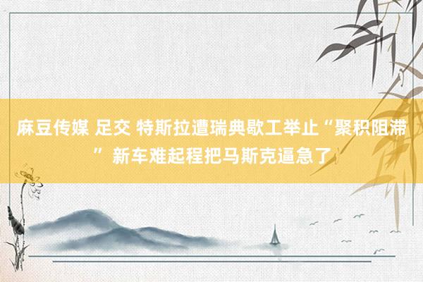 麻豆传媒 足交 特斯拉遭瑞典歇工举止“聚积阻滞” 新车难起程把马斯克逼急了