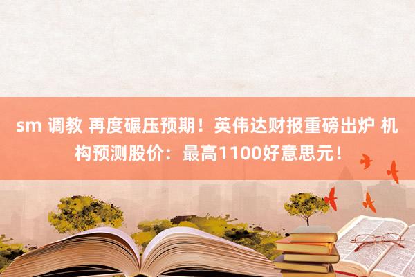 sm 调教 再度碾压预期！英伟达财报重磅出炉 机构预测股价：最高1100好意思元！