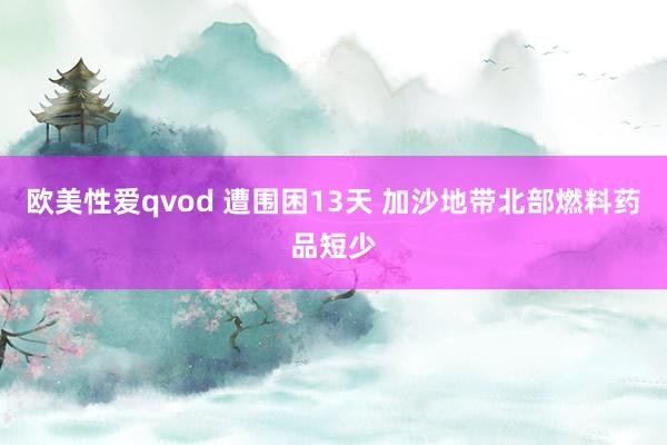欧美性爱qvod 遭围困13天 加沙地带北部燃料药品短少