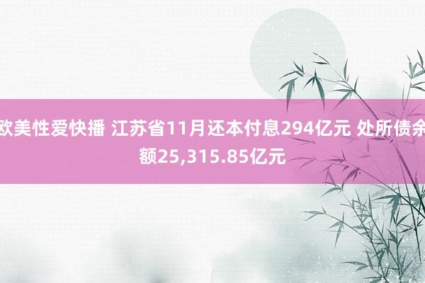 欧美性爱快播 江苏省11月还本付息294亿元 处所债余额25，315.85亿元