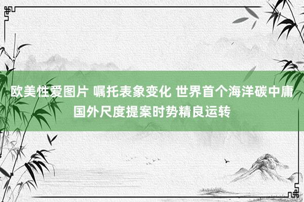 欧美性爱图片 嘱托表象变化 世界首个海洋碳中庸国外尺度提案时势精良运转
