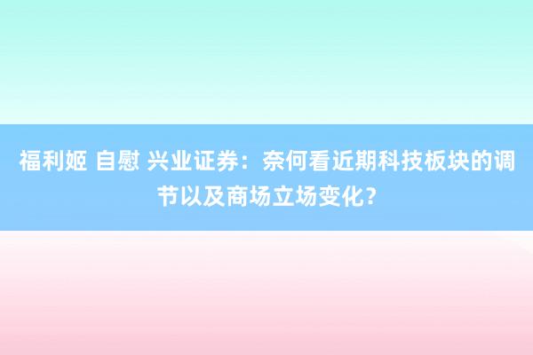 福利姬 自慰 兴业证券：奈何看近期科技板块的调节以及商场立场变化？