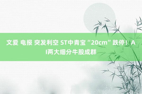 文爱 电报 突发利空 ST中青宝“20cm”跌停！AI两大细分牛股成群