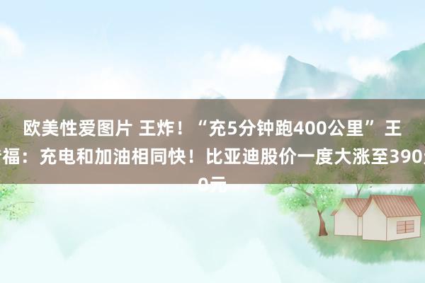 欧美性爱图片 王炸！“充5分钟跑400公里” 王传福：充电和加油相同快！比亚迪股价一度大涨至390元