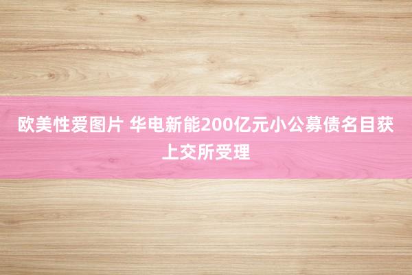 欧美性爱图片 华电新能200亿元小公募债名目获上交所受理