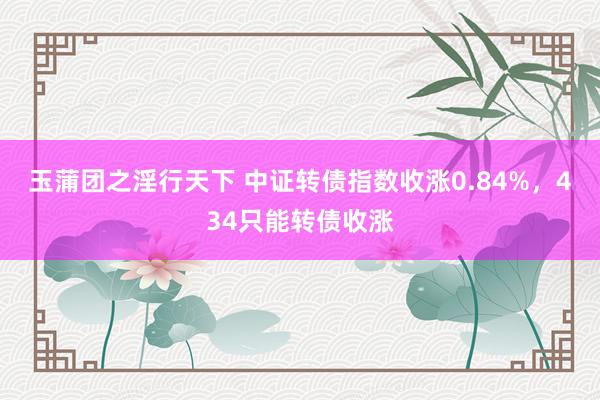 玉蒲团之淫行天下 中证转债指数收涨0.84%，434只能转债收涨
